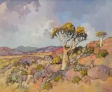 Conrad Theys, Kokerboom in Bloei, Namakwaland (Quiver Tree in Bloom, Namaqualand)