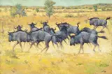 Wildebeest by Zakkie Eloff, oil on canvas, sold Sep 2025