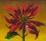Vladimir Tretchikoff, Poinsettia, 1949, oil on canvas