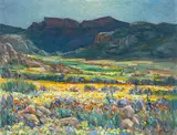 Hugo Naude, Namaqualand, Springtime, oil on panel