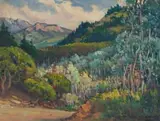 Hugo Naude, Silver Trees at Kirstenbosch, Cape, oil on panel