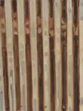 Selwyn Steyn, Corrugated (warm), 2023, oil on Belgian linen