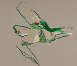 Lucy Jane Turpin, Figure in Green, 2023, oil on Belgian linen