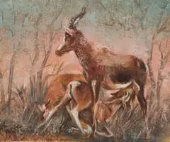 François Krige, Blesbuck, oil on board