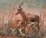 François Krige, Blesbuck, oil on board