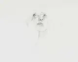Judith Mason, Head, pencil on paper