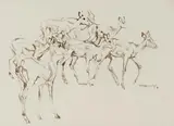 Impala by Zakkie Eloff, Ink on Paper, sold Oct 2025