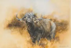 Vic Guhrs, Buffalo, 1975, watercolour on paper