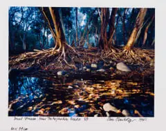 Obie Oberholzer, Small Stream. Near Thohoyandon. Venda, 1990, hand printed colour proof