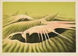 Wendy Vincent, Metamorphic Landscape, 1980, colour lithograph on paper