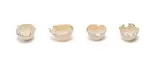 Karen Sinovich, Vessels, four, 2012, painted and fired porcelain with shells