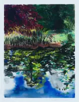 Beezy Bailey, Pond Reflections, 2015, photolithograph on paper