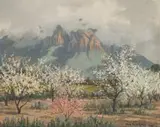 Vera Volschenk, The Orchard in the Spring - Wellington (Lente in die Vrugteboord), 1948, oil on canvas