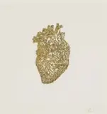 Lyndi Sales, Heart