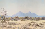 Herbert Diener, Grassy Landscape with Mountains in the Distance, 1980, oil on canvas laid down on board