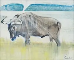 Gordon Vorster, Wildebeest, oil on canvas laid down on board