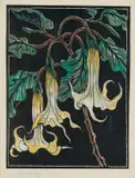 Gregoire Boonzaier, Moon Flowers, 1978, hand-coloured linocut on paper laid down on board