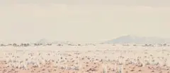 Herbert Diener, Namib Park S.W.A, 1980, watercolour on paper