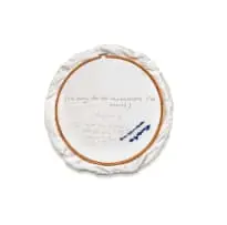 Frances Goodman, Sorry Doesn't Help, from the Toilet Embroidery series, embroidery thread, satin, embroidery hoop