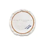 Frances Goodman, Sorry Doesn't Help, from the Toilet Embroidery series