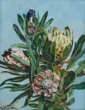 Robert Broadley, Proteas, oil on canvasboard