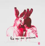 Christiaan Diedericks, Kiss Me Mr President