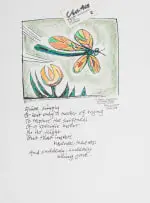 Insect by Peter Clarke, 2008, photocopy with felt-tip pen and hand-colouring, offered Aug 2025