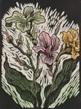 Gregoire Boonzaier, Canna Lilies, hand-coloured linocut on paper