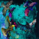 Gail Catlin, Birds in Flight