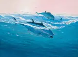 John Meyer, Tuna Fish, oil on board