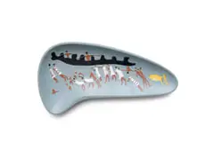 Kalahari Studio, Organic-shaped blue dish decorated with abstracted figures and animals, terracotta with relief and overglaze decoration