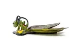 Victor Mtshali, Locust platter, 2003, painted and glazed ceramic