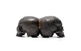Guy Du Toit, Skulls Pos+Neg, bronze with a brown patina