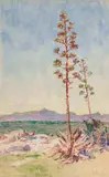 Constance Penstone, A G Miller's Point, watercolour on paper