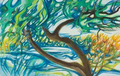 Anna Vorster, Tree Bluegum, 1979, watercolour on paper