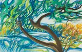 Anna Vorster, Tree Bluegum, 1979, watercolour on paper