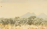 Adolph Jentsch, S W. Afrika