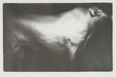 Paul Emsley, Bull (Sussex), 1994, stone lithograph on paper