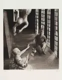 Deborah Bell, Reveal III, drypoint, hardground and spitbite etching on paper