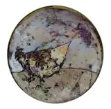 Gail Catlin, Bird, liquid crystal on glass