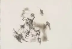 Ezrom Legae, Back Torso, charcoal on paper