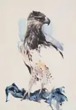 Derric Van Rensburg, Martial Eagle