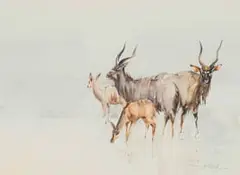 Derric Van Rensburg, Kudu, mixed media on paper