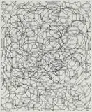 Willem Boshoff, Gekrap, from KykAfrikaans (Scribbles), screenprint on paper