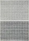 Willem Boshoff, Vlegskrif, from KykAfrikaans (Woven Text), screenprint on paper