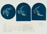 Judith Mason, Beethoven, lithograph and sealing wax on paper