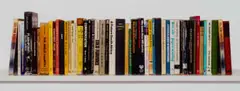 Candice Breitz, Ex Libris SA, Cibachrome photograph