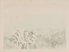 Sue Williamson, Etosha, etching on paper