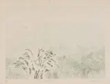 Sue Williamson, Etosha, etching on paper