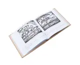 Gerard de Kamper and Chris de Klerk, JH Pierneef in Print